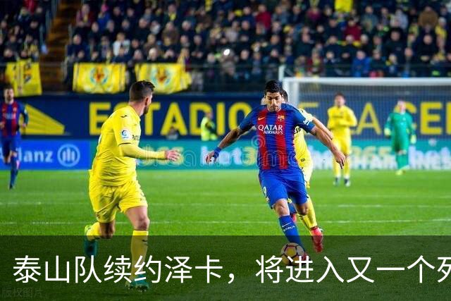 泰山队续约泽卡，将进入又一个死循环