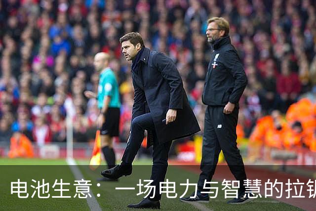 电池生意：一场电力与智慧的拉锯战